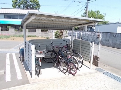 17/29 その他画像