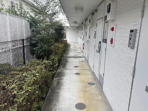 6/16 その他画像