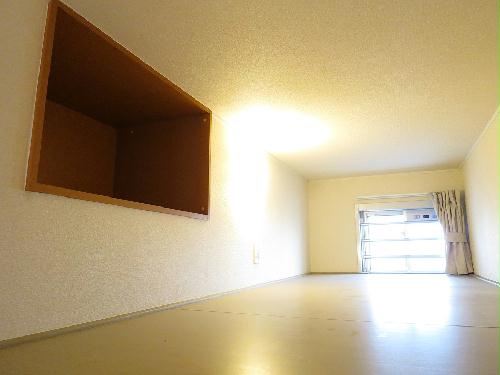 11/20 その他画像