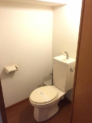 13/14 その他画像