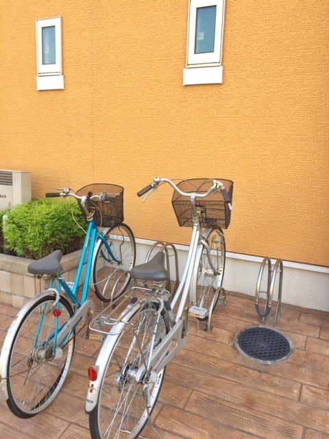 その他共有