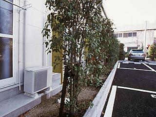 10/20 バルコニー