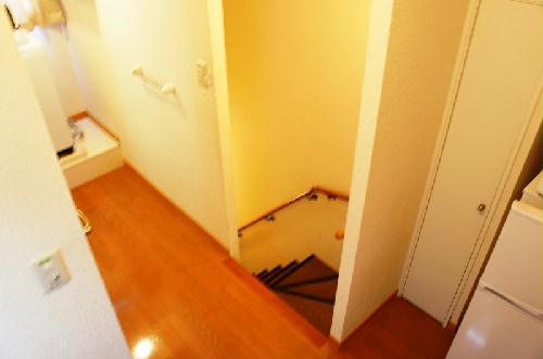 11/14 その他画像