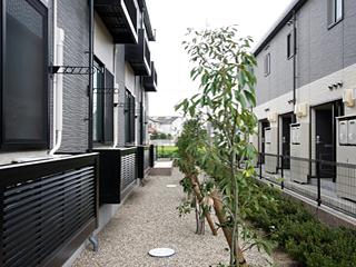 5/12 その他画像