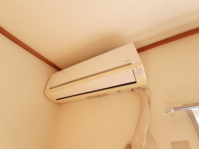 12/21 その他画像