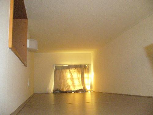 11/13 その他画像