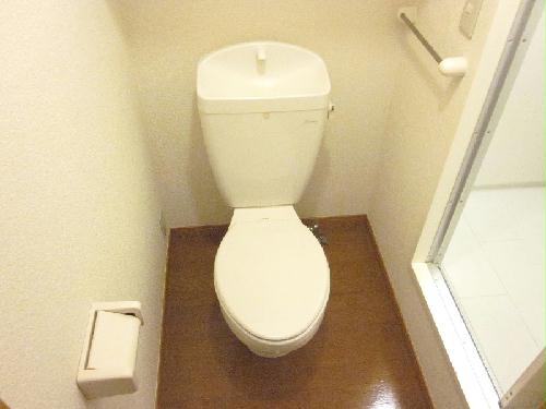 8/13 その他画像