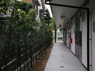 12/13 その他画像