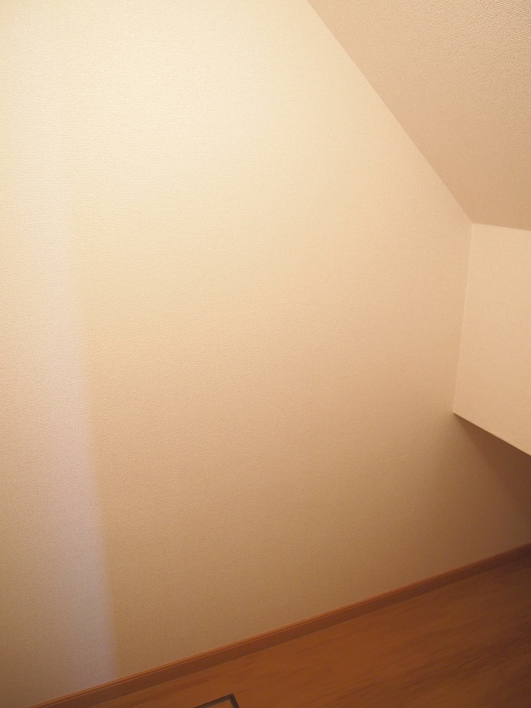 15/22 その他画像