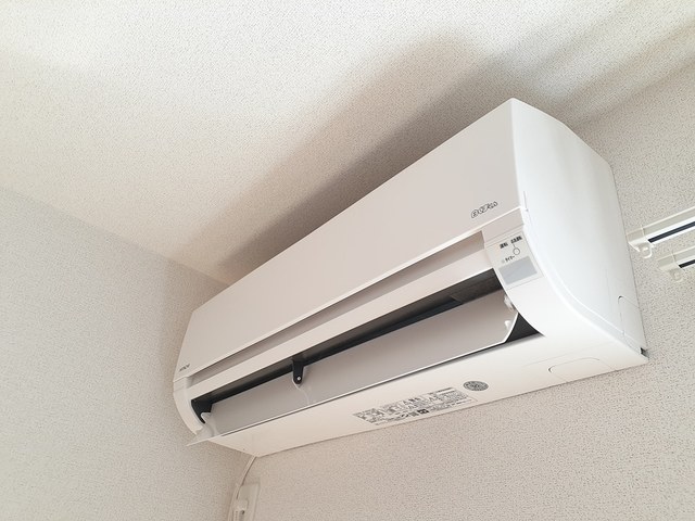 12/20 その他画像