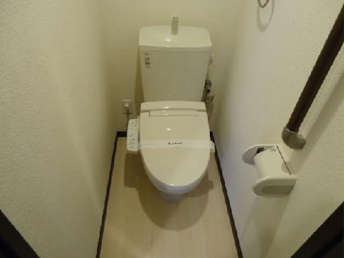 11/14 その他画像