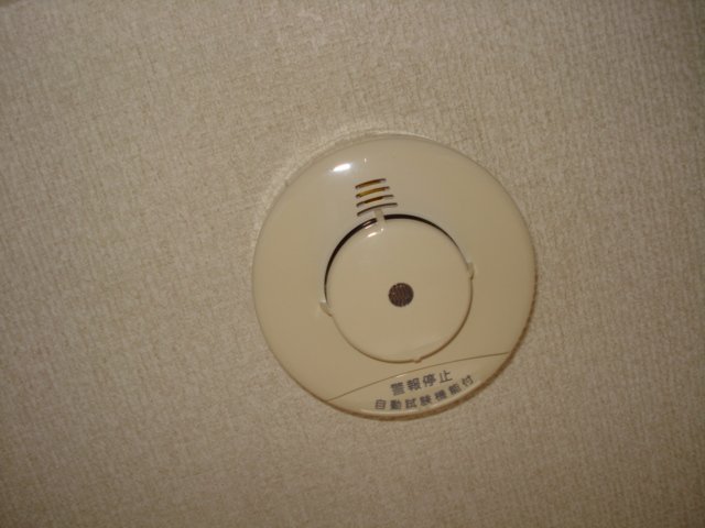 21/23 その他画像