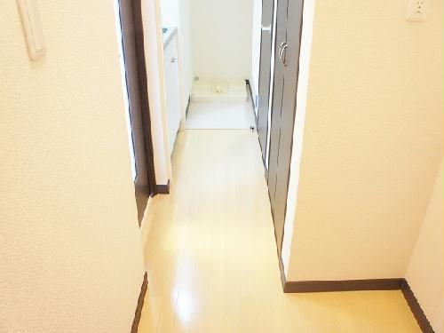 5/15 その他画像