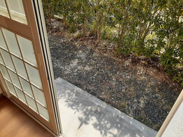 12/20 その他画像