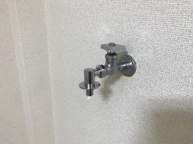 21/29 その他画像