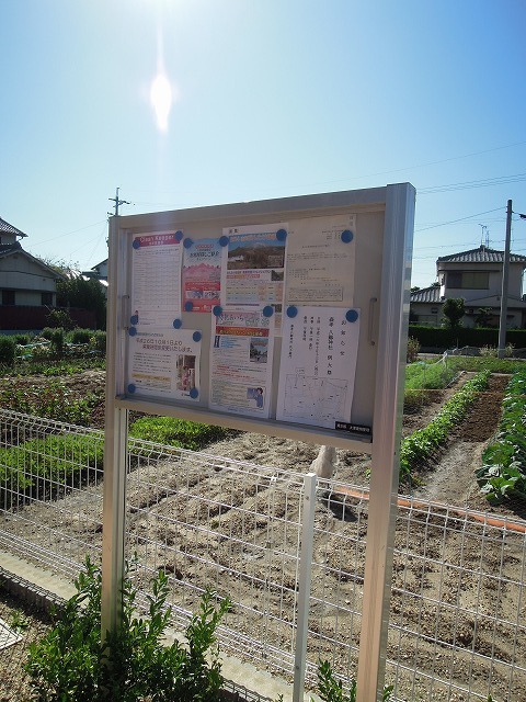 15/28 その他画像