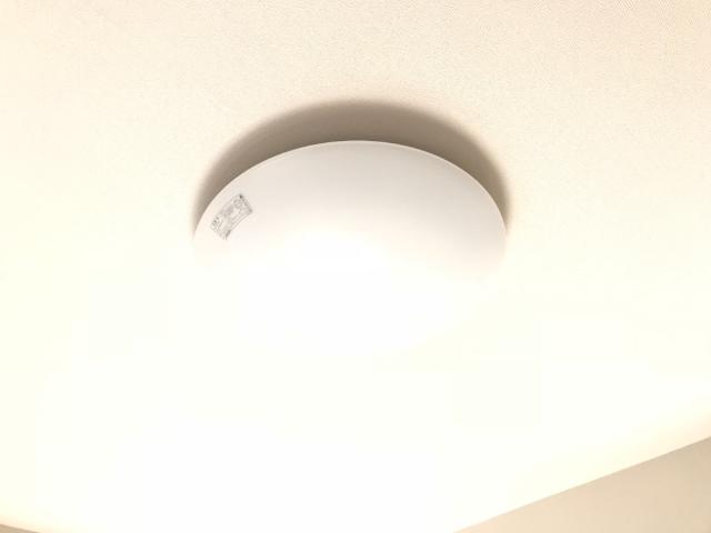 17/23 その他画像