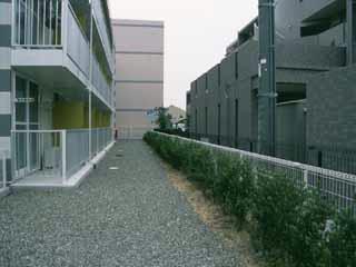 11/18 その他画像