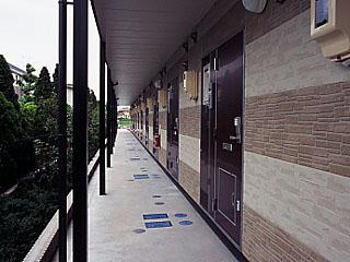 12/19 その他画像