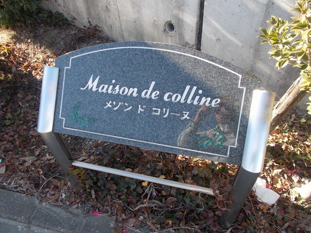 11/21 その他画像