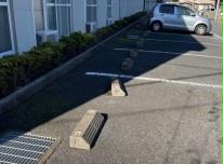 11/14 その他画像