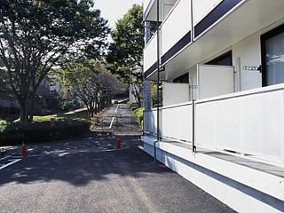 11/22 その他画像