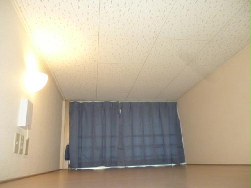 8/19 その他画像