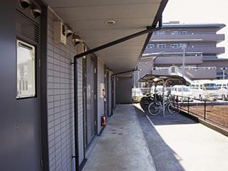 7/12 その他画像