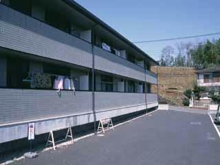 11/12 その他画像