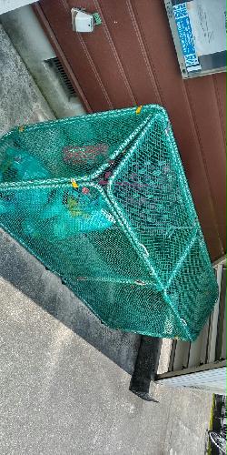 8/23 その他画像