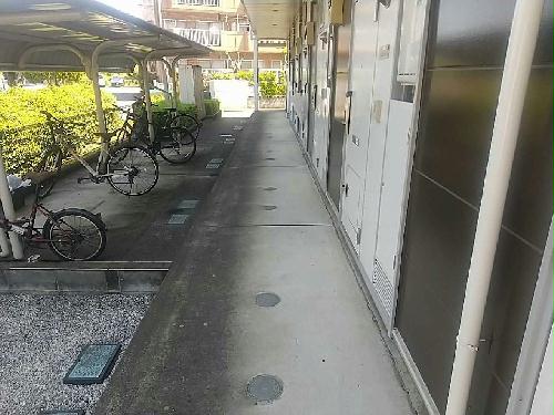 5/14 その他画像