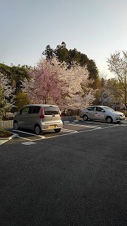2/8 駐車場