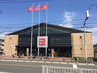 6/11 その他画像