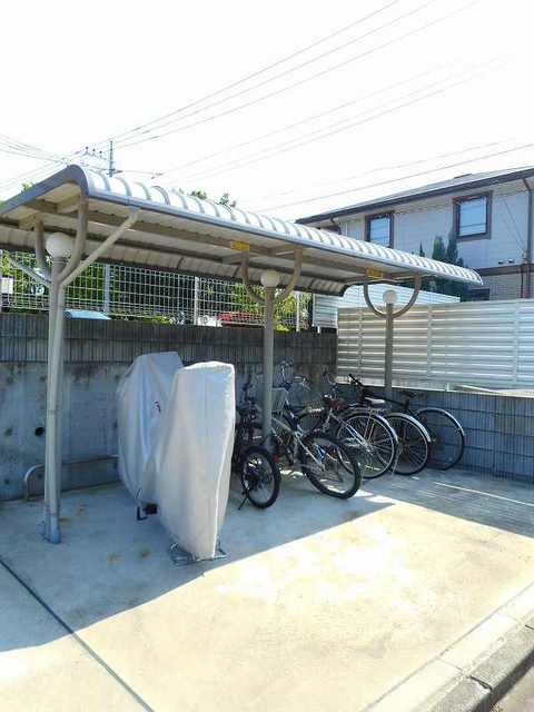 20/30 その他画像