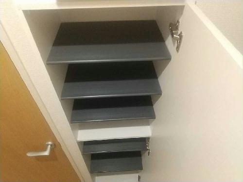 11/24 その他画像