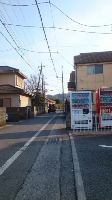 15/25 その他画像