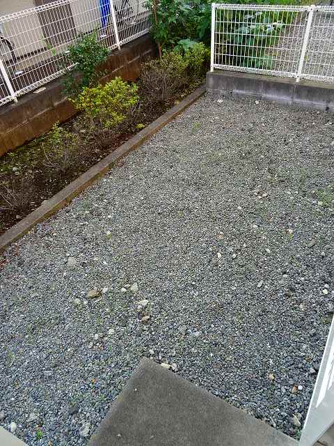 11/19 その他画像