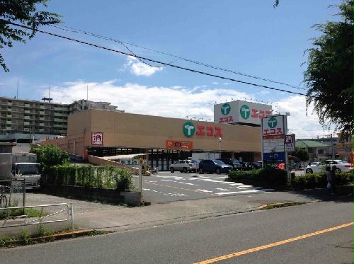 11/16 その他画像