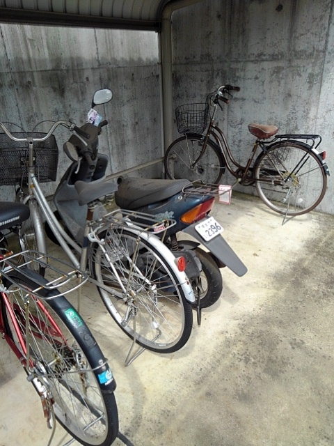 17/25 その他画像