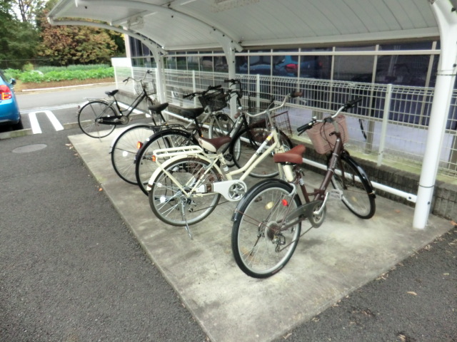 17/30 その他画像