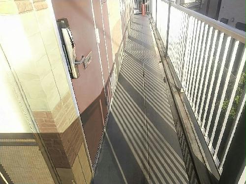 8/23 その他画像