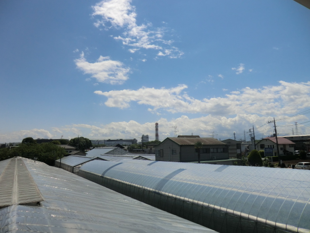 15/30 その他画像