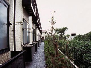 11/14 その他画像