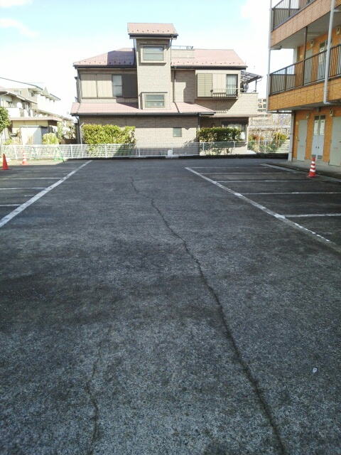 20/30 その他画像