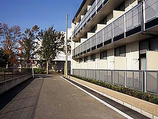 11/24 その他画像