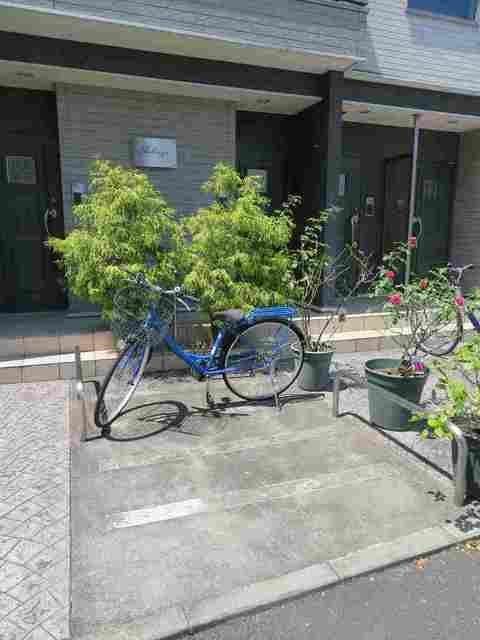 19/29 その他画像