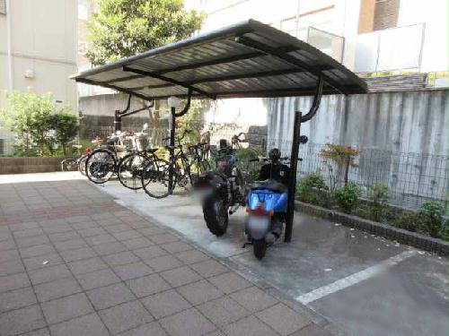 11/14 その他画像