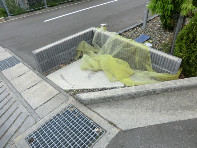 20/25 その他画像