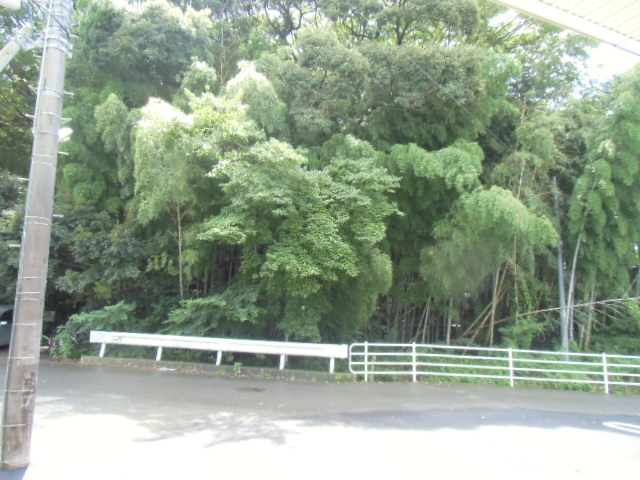 19/23 その他画像