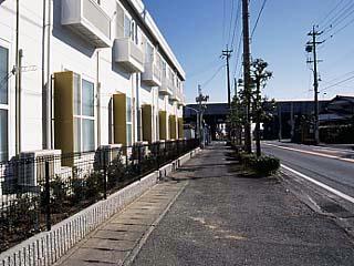 11/13 その他画像